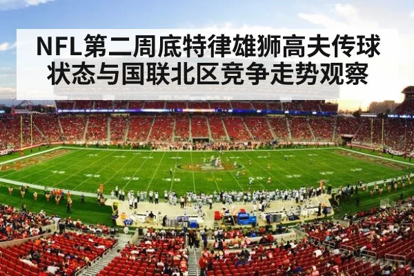 NFL stadium game action